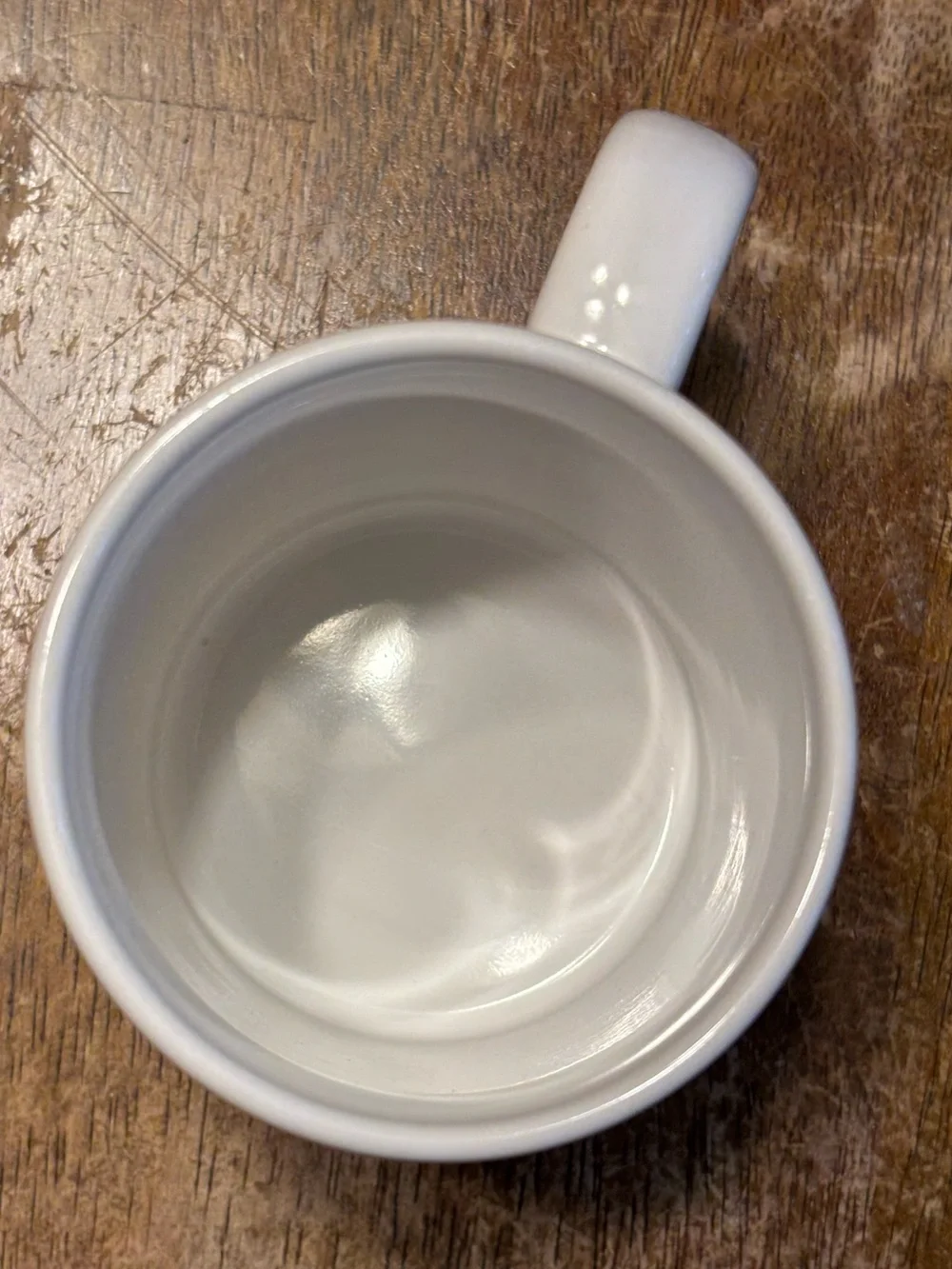 Newton High School Class of 1954 reunion/alumni commemorative coffee mug